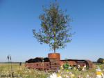 Het vijfde landschap | Rob Sweere